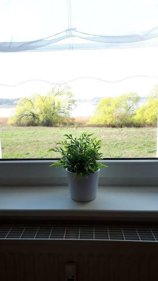 Ferienwohnung Mit Seeblick Βραδεμβούργο Εξωτερικό φωτογραφία
